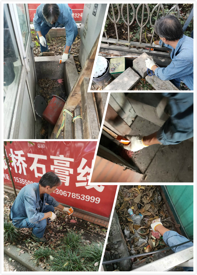 CQ9电子市场发展冬季灭鼠