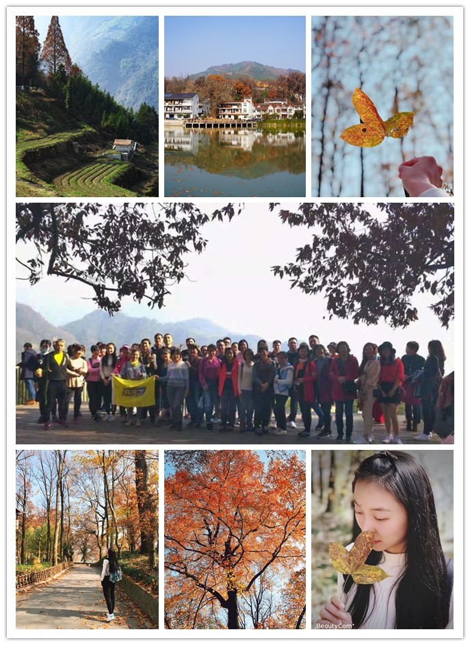 CQ9电子电子买卖市场组织“指南村赏秋”活动