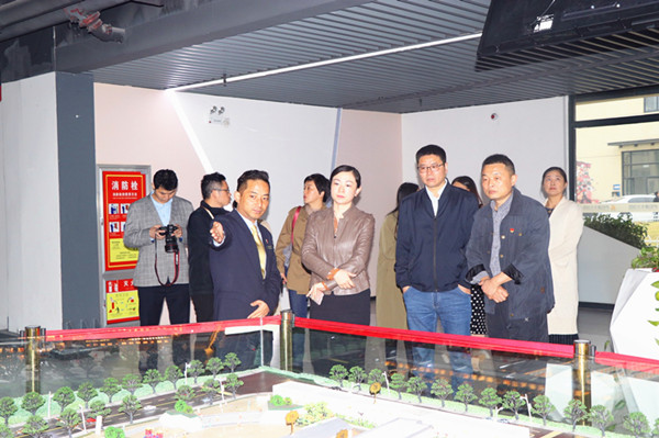 庐阳区委常委、宣传部长韩艳一行光临庐阳CQ9电子文创园调研