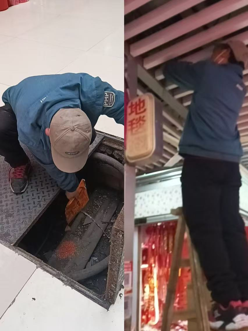 春季打响健全保卫战?钱江商城除四害在行动