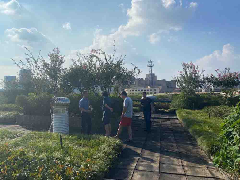 区绿化办查抄钱江商城屋顶绿化 养护工作