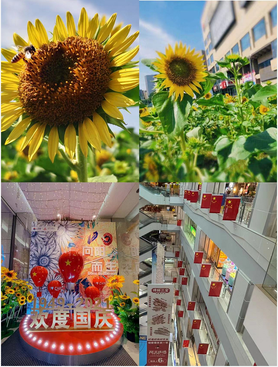 盛世华诞，水晶城喜迎国庆