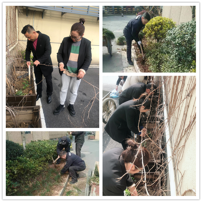 春季绿化正其时——CQ9电子文创集团扎实发展环境提升