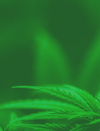 澳门6766平台(中国)官方网站